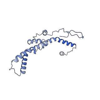 36107_8j9h_C4_v1-1
Cryo-EM structure of Euglena gracilis respiratory complex I, deactive state