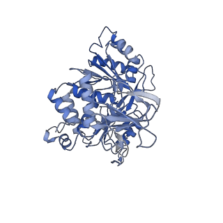 36107_8j9h_E1_v1-1
Cryo-EM structure of Euglena gracilis respiratory complex I, deactive state