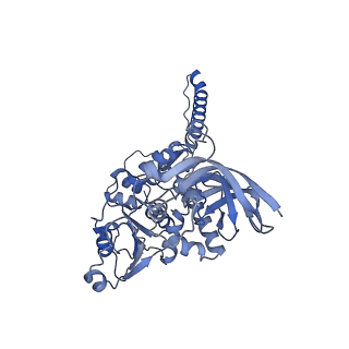 36107_8j9h_E3_v1-1
Cryo-EM structure of Euglena gracilis respiratory complex I, deactive state