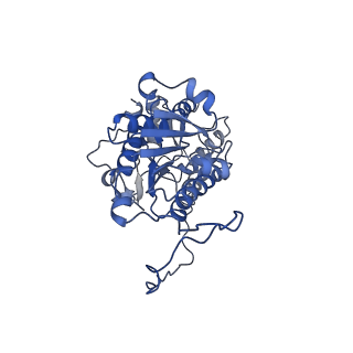 36107_8j9h_E4_v1-1
Cryo-EM structure of Euglena gracilis respiratory complex I, deactive state