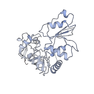 36107_8j9h_E5_v1-1
Cryo-EM structure of Euglena gracilis respiratory complex I, deactive state