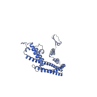 36107_8j9h_E6_v1-1
Cryo-EM structure of Euglena gracilis respiratory complex I, deactive state