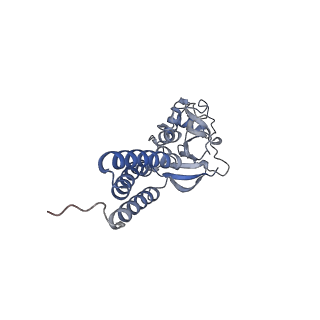 36107_8j9h_E7_v1-1
Cryo-EM structure of Euglena gracilis respiratory complex I, deactive state