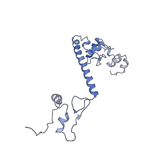 36107_8j9h_E8_v1-1
Cryo-EM structure of Euglena gracilis respiratory complex I, deactive state