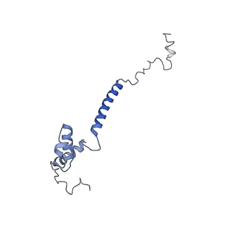 36107_8j9h_EA_v1-1
Cryo-EM structure of Euglena gracilis respiratory complex I, deactive state