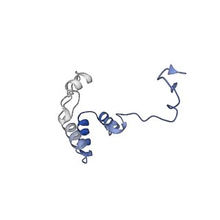 36107_8j9h_EB_v1-1
Cryo-EM structure of Euglena gracilis respiratory complex I, deactive state