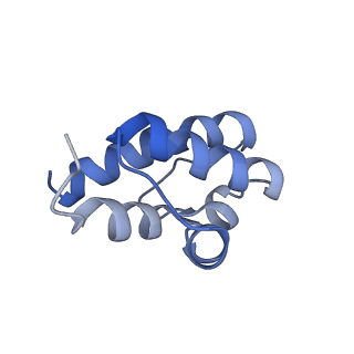 36107_8j9h_EC_v1-1
Cryo-EM structure of Euglena gracilis respiratory complex I, deactive state