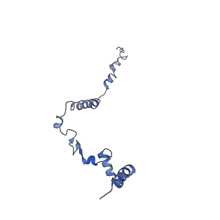 36107_8j9h_ED_v1-1
Cryo-EM structure of Euglena gracilis respiratory complex I, deactive state