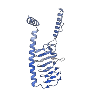 36107_8j9h_G2_v1-1
Cryo-EM structure of Euglena gracilis respiratory complex I, deactive state