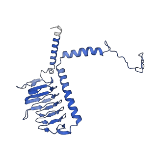 36107_8j9h_G3_v1-1
Cryo-EM structure of Euglena gracilis respiratory complex I, deactive state