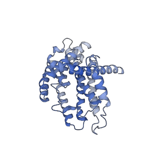 36107_8j9h_N1_v1-1
Cryo-EM structure of Euglena gracilis respiratory complex I, deactive state