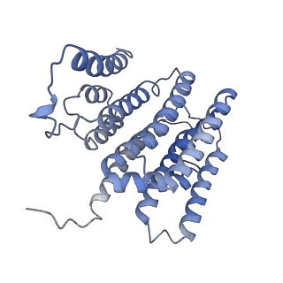 36107_8j9h_N2_v1-1
Cryo-EM structure of Euglena gracilis respiratory complex I, deactive state