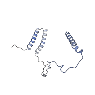 36107_8j9h_N3_v1-1
Cryo-EM structure of Euglena gracilis respiratory complex I, deactive state