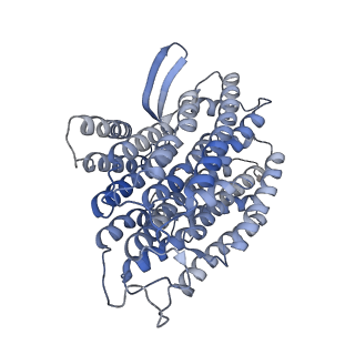 36107_8j9h_N4_v1-1
Cryo-EM structure of Euglena gracilis respiratory complex I, deactive state