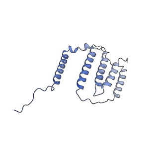 36107_8j9h_N6_v1-1
Cryo-EM structure of Euglena gracilis respiratory complex I, deactive state