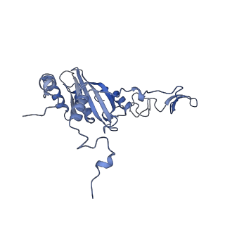 36107_8j9h_S3_v1-1
Cryo-EM structure of Euglena gracilis respiratory complex I, deactive state