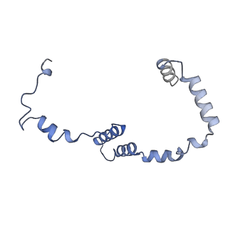 36107_8j9h_S5_v1-1
Cryo-EM structure of Euglena gracilis respiratory complex I, deactive state