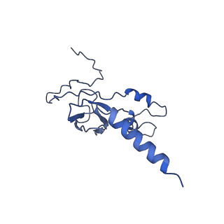 36107_8j9h_S6_v1-1
Cryo-EM structure of Euglena gracilis respiratory complex I, deactive state