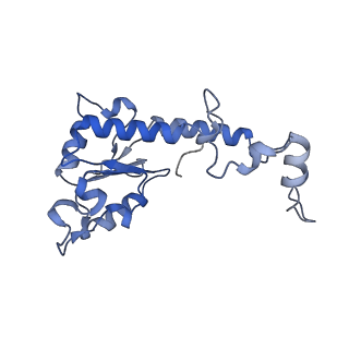 36107_8j9h_S7_v1-1
Cryo-EM structure of Euglena gracilis respiratory complex I, deactive state