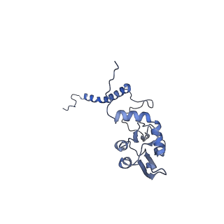 36107_8j9h_S8_v1-1
Cryo-EM structure of Euglena gracilis respiratory complex I, deactive state