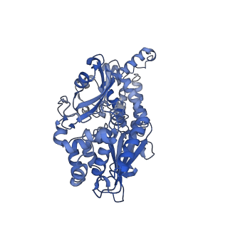 36107_8j9h_V1_v1-1
Cryo-EM structure of Euglena gracilis respiratory complex I, deactive state