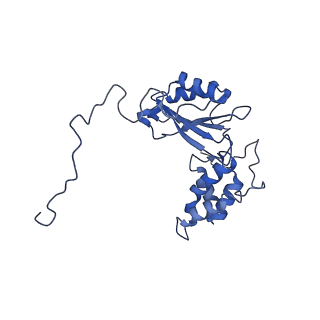 36107_8j9h_V2_v1-1
Cryo-EM structure of Euglena gracilis respiratory complex I, deactive state