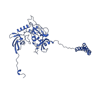 36108_8j9i_1A_v1-1
Cryo-EM structure of Euglena gracilis complex I, turnover state