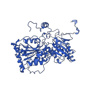 36108_8j9i_1B_v1-1
Cryo-EM structure of Euglena gracilis complex I, turnover state