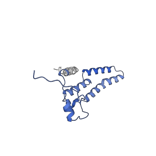 36108_8j9i_2B_v1-1
Cryo-EM structure of Euglena gracilis complex I, turnover state