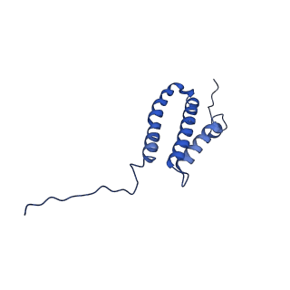 36108_8j9i_4L_v1-1
Cryo-EM structure of Euglena gracilis complex I, turnover state