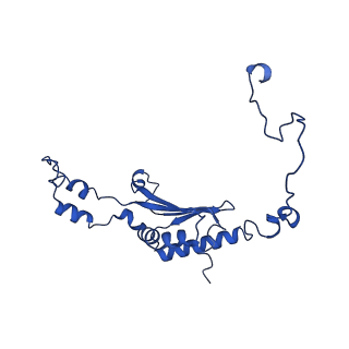 36108_8j9i_A2_v1-1
Cryo-EM structure of Euglena gracilis complex I, turnover state