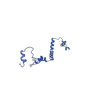 36108_8j9i_A3_v1-1
Cryo-EM structure of Euglena gracilis complex I, turnover state