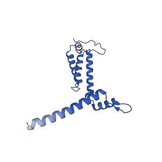 36108_8j9i_A5_v1-1
Cryo-EM structure of Euglena gracilis complex I, turnover state