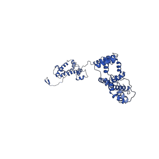 36108_8j9i_A6_v1-1
Cryo-EM structure of Euglena gracilis complex I, turnover state