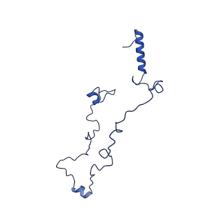 36108_8j9i_A7_v1-1
Cryo-EM structure of Euglena gracilis complex I, turnover state