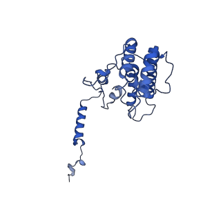 36108_8j9i_A8_v1-1
Cryo-EM structure of Euglena gracilis complex I, turnover state