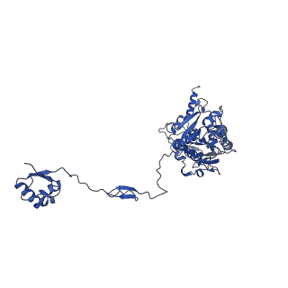 36108_8j9i_A9_v1-1
Cryo-EM structure of Euglena gracilis complex I, turnover state