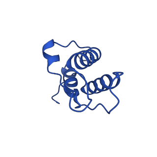 36108_8j9i_AB_v1-1
Cryo-EM structure of Euglena gracilis complex I, turnover state