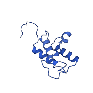 36108_8j9i_AC_v1-1
Cryo-EM structure of Euglena gracilis complex I, turnover state