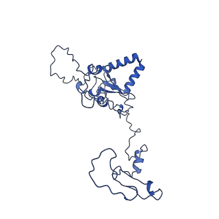 36108_8j9i_AL_v1-1
Cryo-EM structure of Euglena gracilis complex I, turnover state