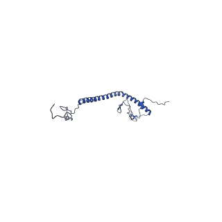 36108_8j9i_AM_v1-1
Cryo-EM structure of Euglena gracilis complex I, turnover state