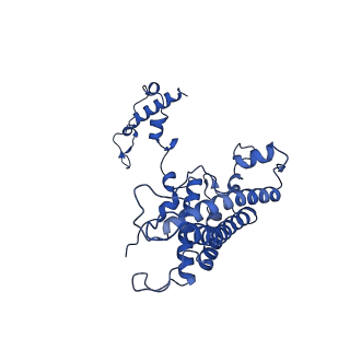 36108_8j9i_AN_v1-1
Cryo-EM structure of Euglena gracilis complex I, turnover state