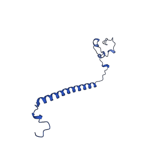 36108_8j9i_B2_v1-1
Cryo-EM structure of Euglena gracilis complex I, turnover state