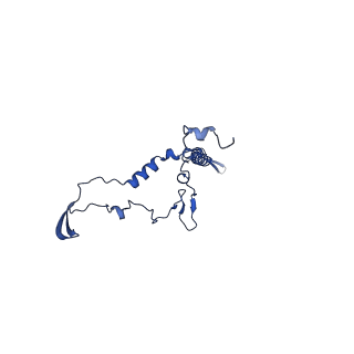 36108_8j9i_B4_v1-1
Cryo-EM structure of Euglena gracilis complex I, turnover state