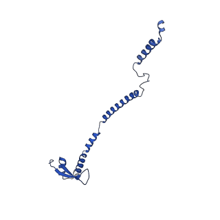 36108_8j9i_B5_v1-1
Cryo-EM structure of Euglena gracilis complex I, turnover state