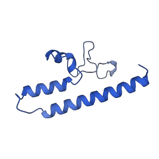 36108_8j9i_B7_v1-1
Cryo-EM structure of Euglena gracilis complex I, turnover state