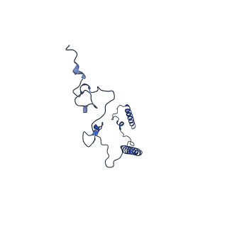 36108_8j9i_B8_v1-1
Cryo-EM structure of Euglena gracilis complex I, turnover state