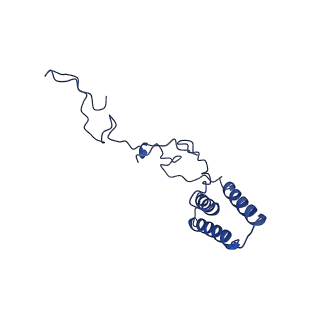 36108_8j9i_B9_v1-1
Cryo-EM structure of Euglena gracilis complex I, turnover state