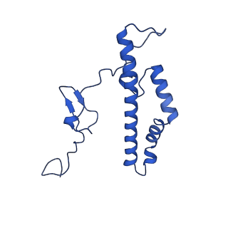 36108_8j9i_BL_v1-1
Cryo-EM structure of Euglena gracilis complex I, turnover state