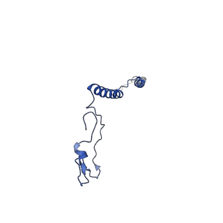 36108_8j9i_BM_v1-1
Cryo-EM structure of Euglena gracilis complex I, turnover state